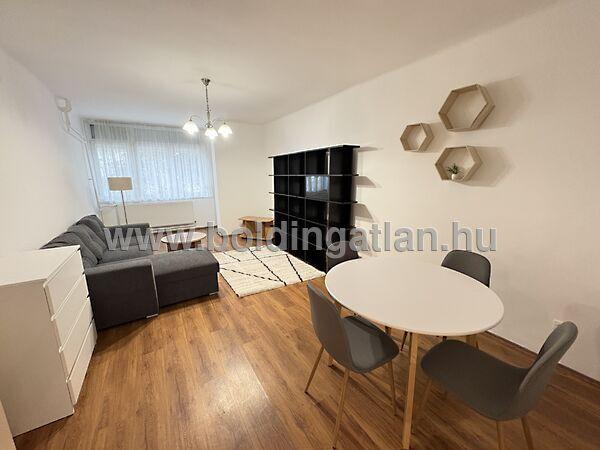 Damjanich, Kaposvár képe