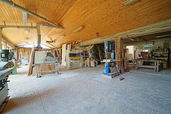 Liszt Ferenc, Vecsés képe