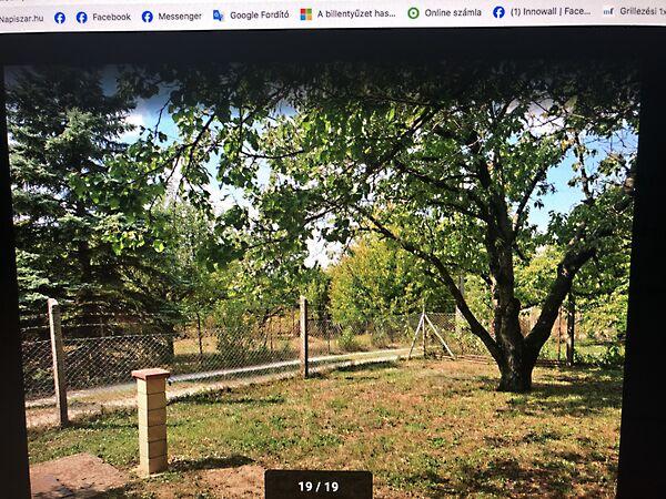 Karika, Budakeszi 2. képe