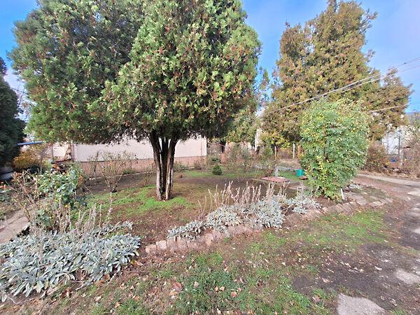 Hóvirág, Hódmezővásárhely 3. képe