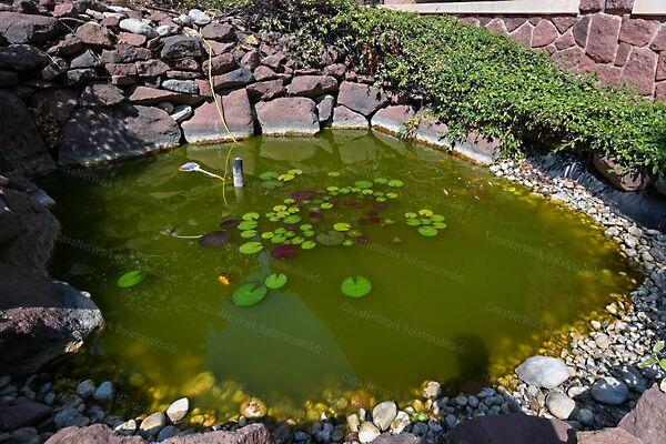 Balatonalmádi 3. képe