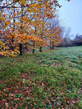 Balatonfőkajár 3. képe