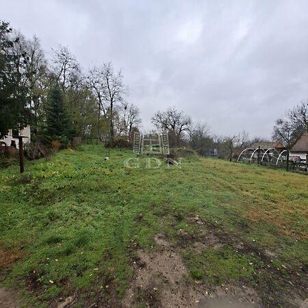 Vadász, Szomód 3. képe