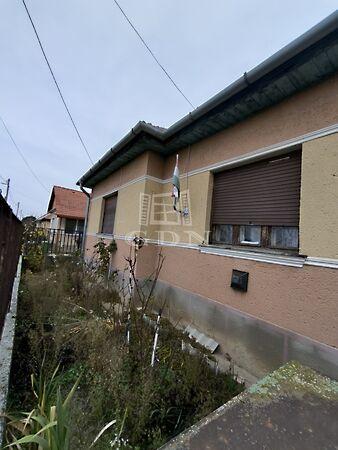 erdő, Zsámbok képe