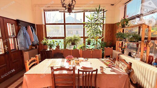 Ifjúság, Szentkirály képe