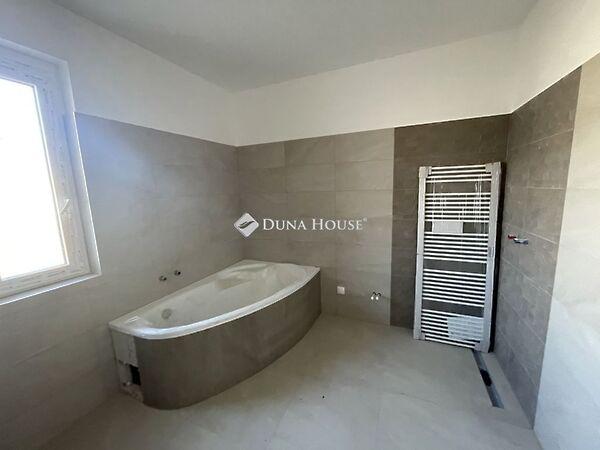 Mókus, Kecskemét képe