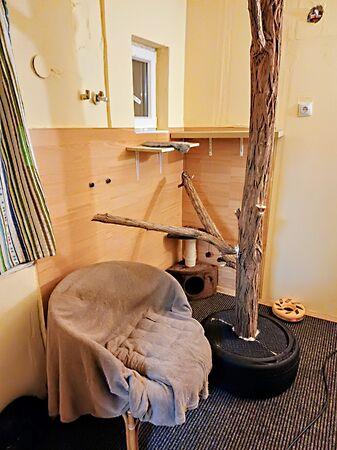 Határ u., Budapest, XX. kerület 2. képe