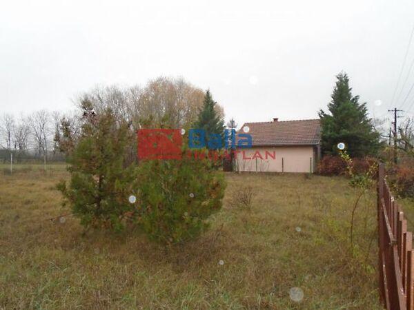 Hattyú, Tiszakécske képe