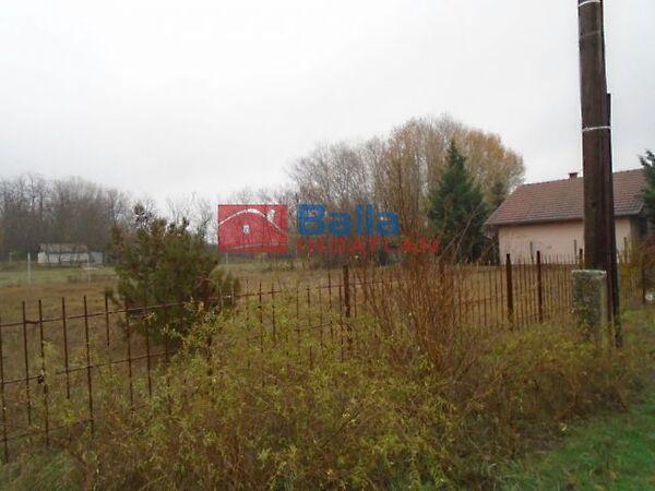 Hattyú, Tiszakécske 3. képe