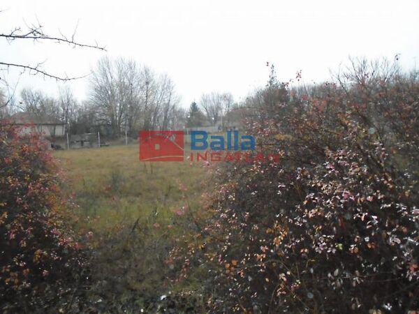 Hattyú, Tiszakécske képe