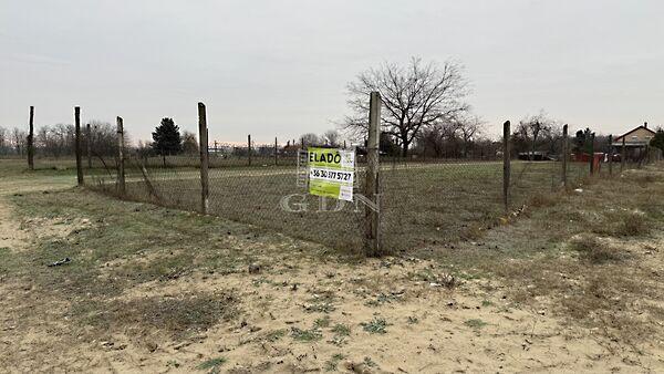 Kaszala Károly, Dunaharaszti képe