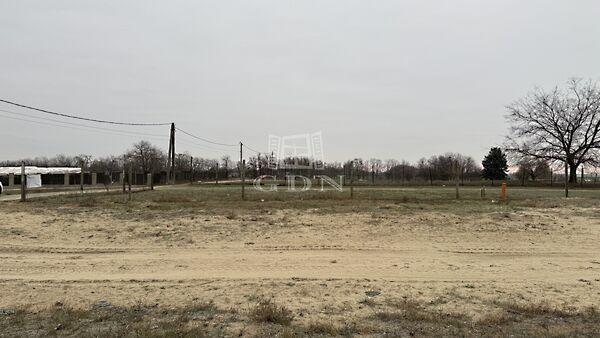 Kaszala Károly, Dunaharaszti 3. képe