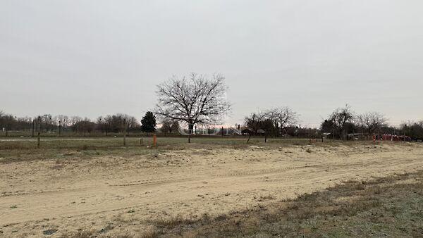 Kaszala Károly, Dunaharaszti képe