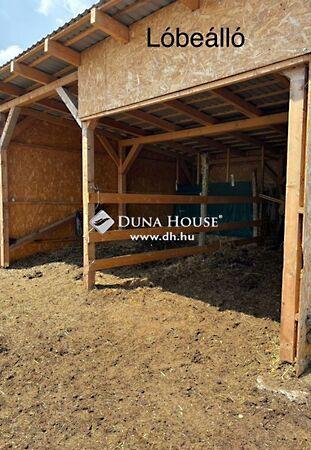 Petőfi Sándor, Cserkút 3. képe