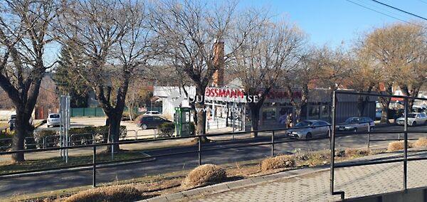 Fő, Balatonkenese 3. képe