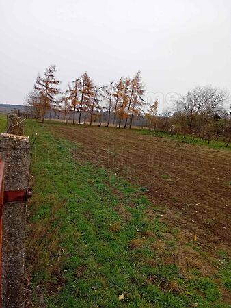 Balatonszárszó 3. képe