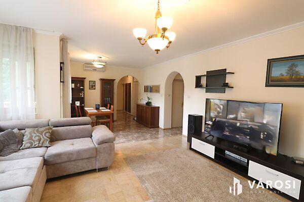 Szeged, Szeged képe