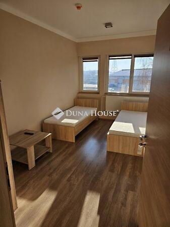 Tüskésréti, Pécs 3. képe