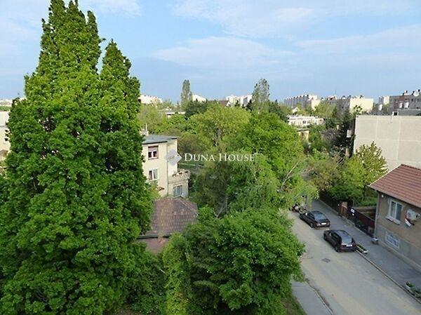 Pajkos, Budapest, XI. kerület képe