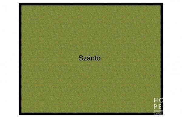 Hódmezővásárhely 2. képe