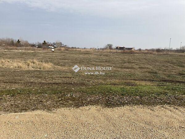 Géza, Algyő 2. képe