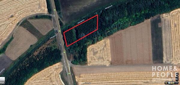 Hódmezővásárhely 2. képe