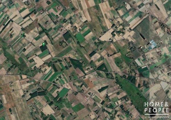 Zákányszék 2. képe