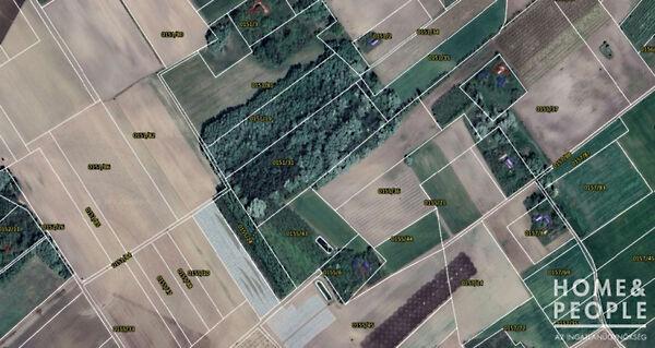 Zákányszék 2. képe