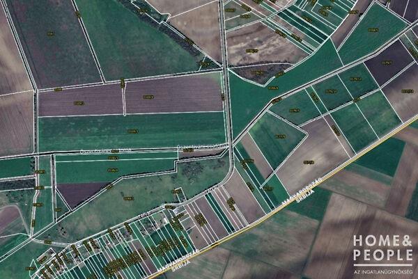 Tiszasziget 2. képe