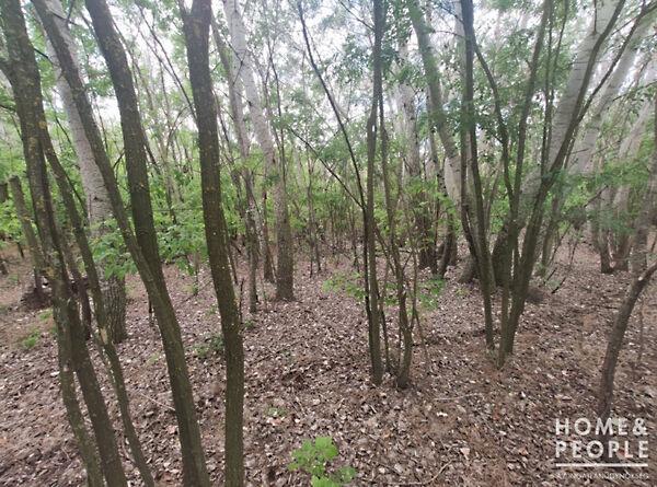 Pusztamérges 2. képe