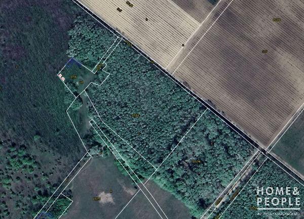 Pusztamérges 3. képe