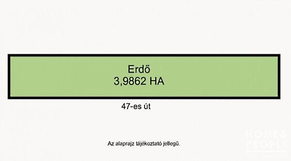 Hódmezővásárhely 2. képe