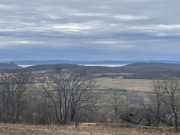 Balatonszőlős képe