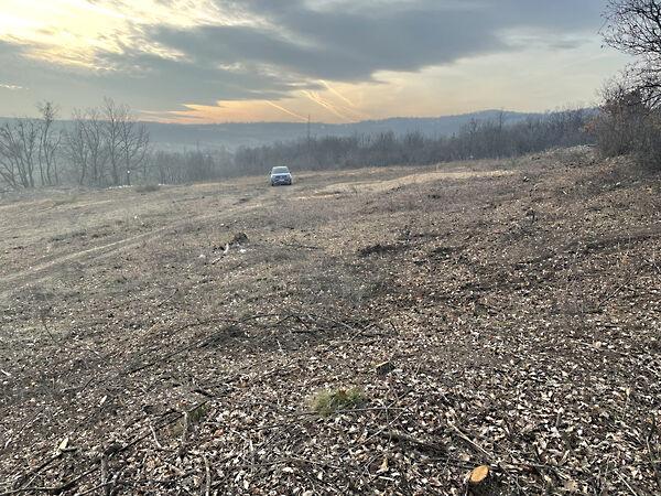 Balatonszőlős 2. képe