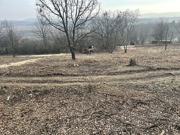 Balatonszőlős 3. képe