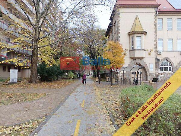 Kosárfonó, Budapest, XIX. kerület képe