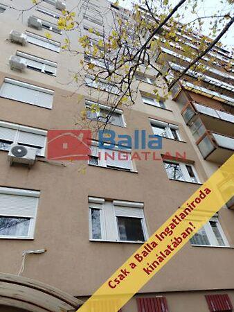 Kosárfonó, Budapest, XIX. kerület 3. képe