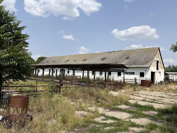 Csomorkányi, Hódmezővásárhely képe