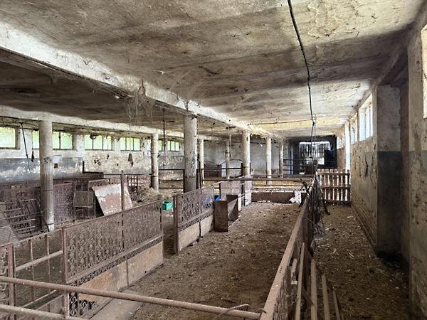 Csomorkányi, Hódmezővásárhely 3. képe