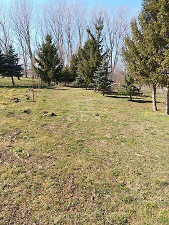 Kolostor, Veszprém 2. képe