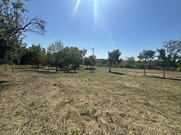 Cserszegtomaj 2. képe