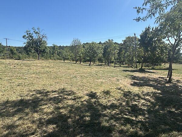 Cserszegtomaj 3. képe