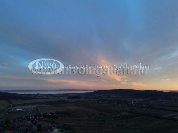 Szentjakabfa 2. képe