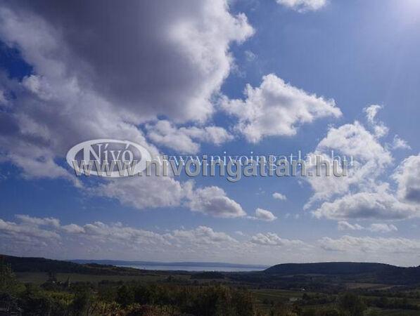 Szentjakabfa 3. képe