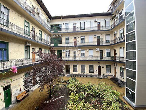 Fő, Budapest, II. kerület 2. képe