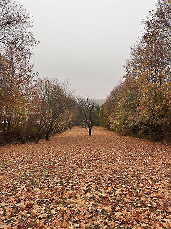 Budapest, III. kerület képe