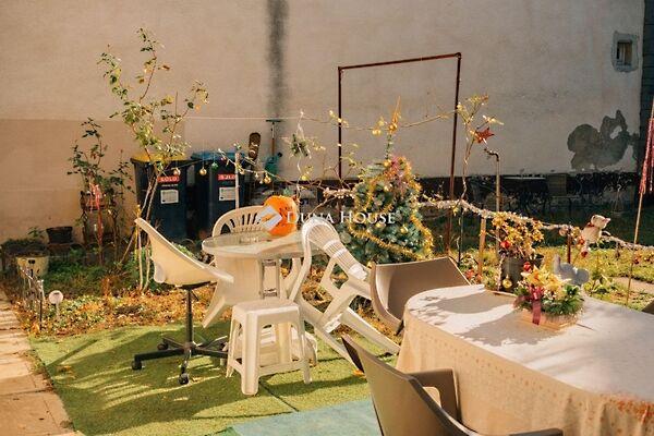 Molnár Viktor, Budapest, XV. kerület 3. képe