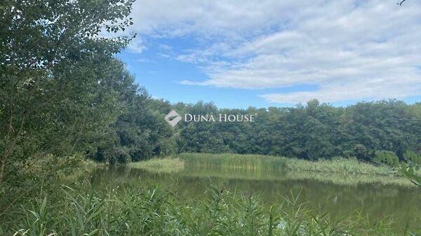 Fő, Vitnyéd 3. képe