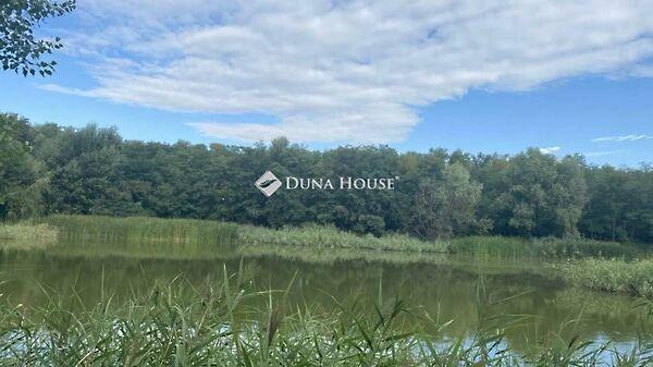 Fő, Vitnyéd 2. képe