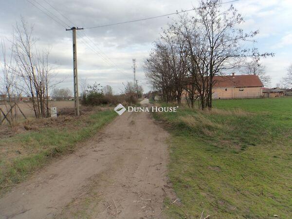 Csokonai, Pilis 2. képe